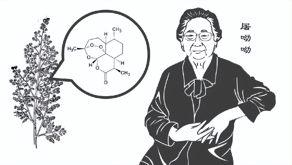 世界疟疾日，一起重温抗疟药物——青蒿素的研制历程